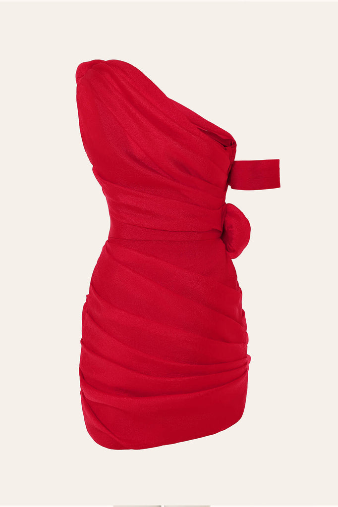 Rose Details Mini Dress - POST MERIDIEM